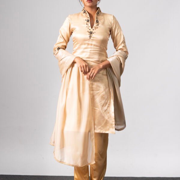 Metallic organza kurti set